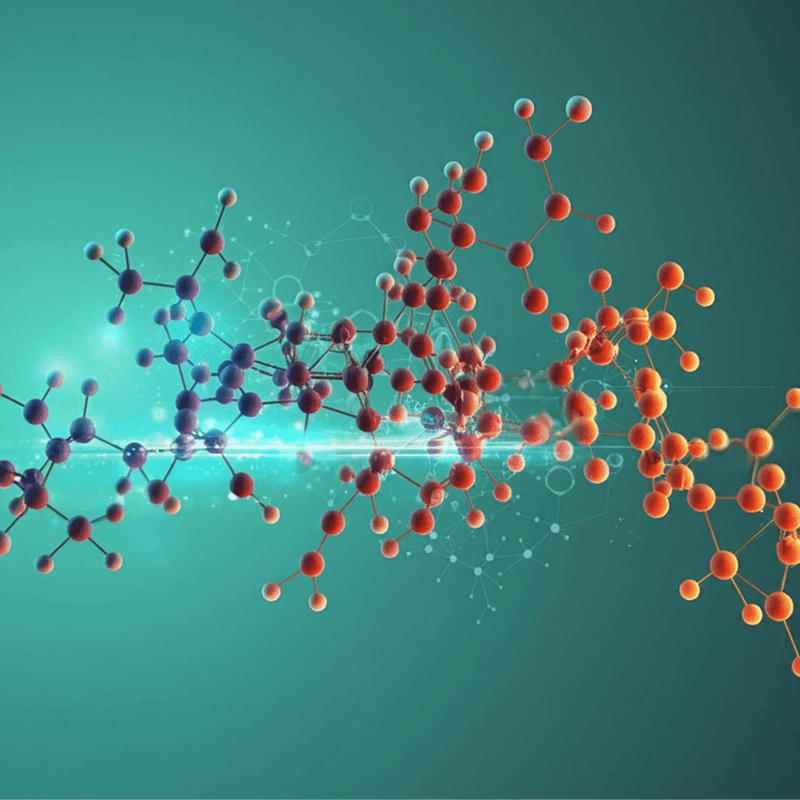 Cellular Metabolism Explained: How Cells Convert Nutrients to Life
