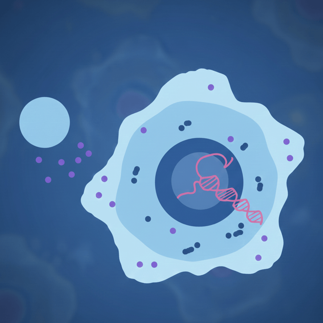 Who Needs Hormonal Signaling Support and Why