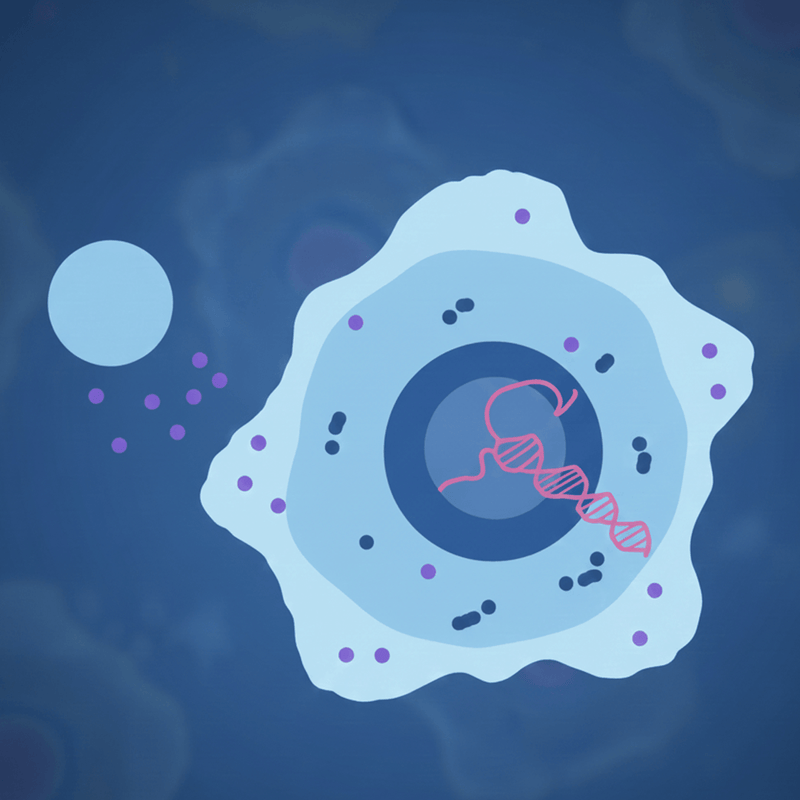 Who Needs Hormonal Signaling Support and Why