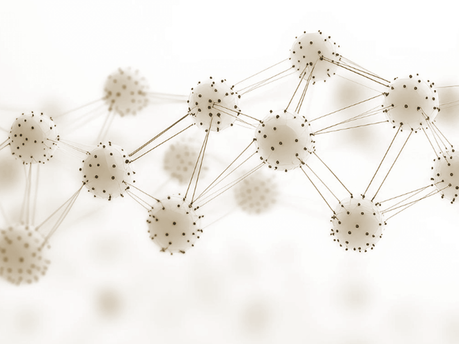 Immunity • Cellular Defense