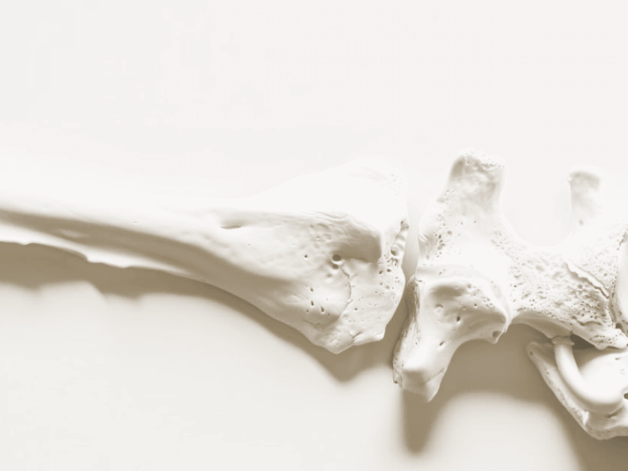 Joint Health • Mobility