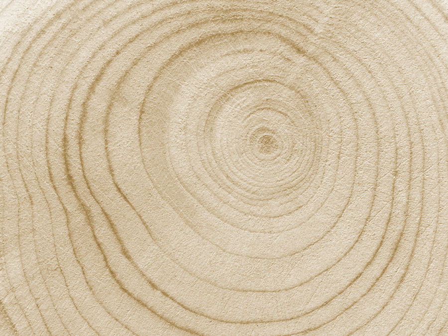 Longevity • Cell Health