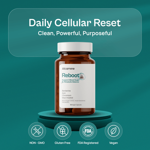 Alcamine Metabolic Balance Formula with Berberine, Alpha Lipoic Acid, Myo-Inositol, Chromium, and Zinc (60 Veg Capsules)