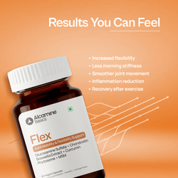 Alcamine Joint Support Supplement with Glucosamine, Chondroitin, MSM, Boswellia, and Curcumin Phytosome (60 Capsules) thumbnail 2