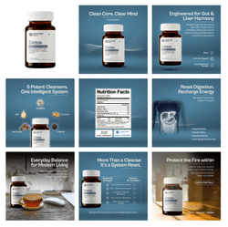 Alcamine Liver Support & Detox Supplement with Milk Thistle, NAC, Dandelion Root & Turmeric (60 Capsules) thumbnail 4