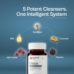 Alcamine Liver Support & Detox Supplement with Milk Thistle, NAC, Dandelion Root & Turmeric (60 Capsules) thumbnail 6