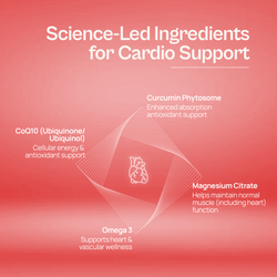Alcamine Cardiovascular & Heart Health Supplement with Omega-3, CoQ10, Curcumin Phytosome & Magnesium Citrate (60 Capsules) thumbnail 7