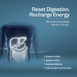 Alcamine Liver Support & Detox Supplement with Milk Thistle, NAC, Dandelion Root & Turmeric (60 Capsules) thumbnail 9