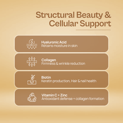 Alcamine Collagen & Biotin Capsules for Skin, Hair & Nail Health, with Hyaluronic Acid, Vitamin C & Zinc (60 Capsules) thumbnail 7