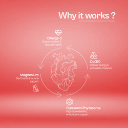 Alcamine Cardiovascular & Heart Health Supplement with Omega-3, CoQ10, Curcumin Phytosome & Magnesium Citrate (60 Capsules) thumbnail 10