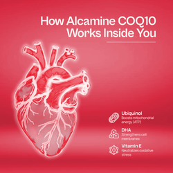 Alcamine Advanced Ubiquinol CoQ10 Capsules with Natural Vitamin E (Mixed Tocopherols) for Heart & Energy (60 Capsules) thumbnail 7