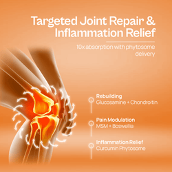 Alcamine Joint Support Supplement with Glucosamine, Chondroitin, MSM, Boswellia, and Curcumin Phytosome (60 Capsules) thumbnail 7